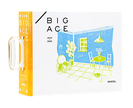 BIGACE